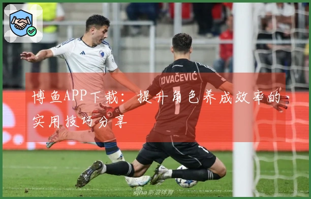 博鱼APP下载：提升角色养成效率的实用技巧分享