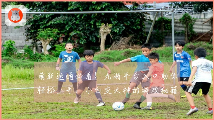 萌新速通必看！九游平台入口助你轻松上手，小白变大神的游戏秘籍
