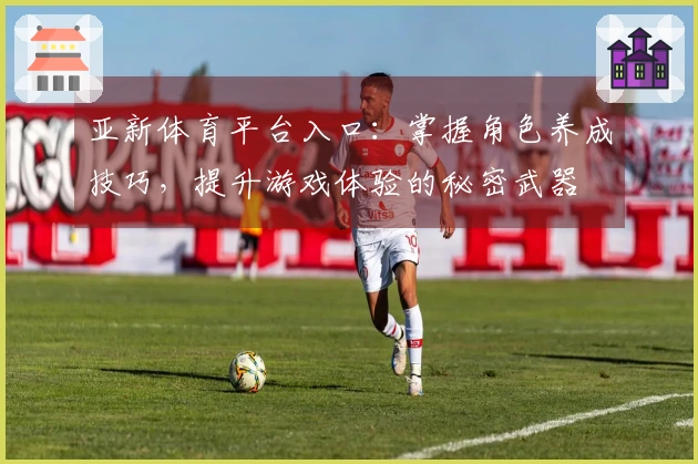 亚新体育平台入口：掌握角色养成技巧，提升游戏体验的秘密武器